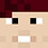 AUGcraft
